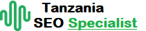 Tanzania SEO Specialist Logo